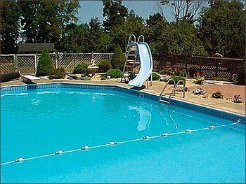 The Dominion House Bed & Breakfast Chester المظهر الخارجي الصورة
